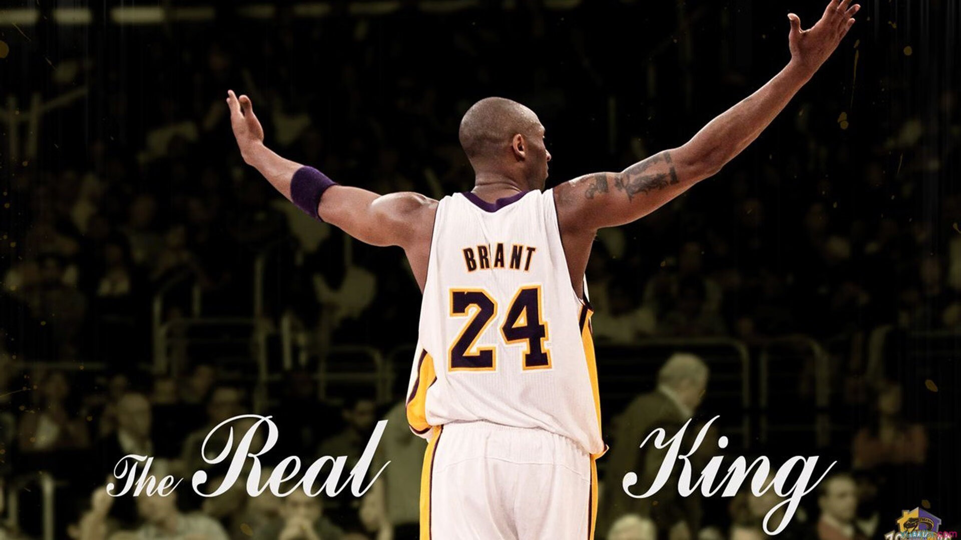 NBA球员投篮技术精准度提升研究,nba球员投篮训练